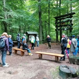 Waldführung Deutsche Waldtage an der Vogelstation des NABU
